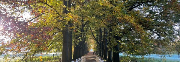 Genhoes brug