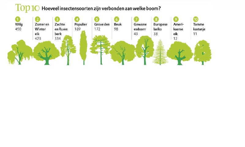 infographic bomen en insecten