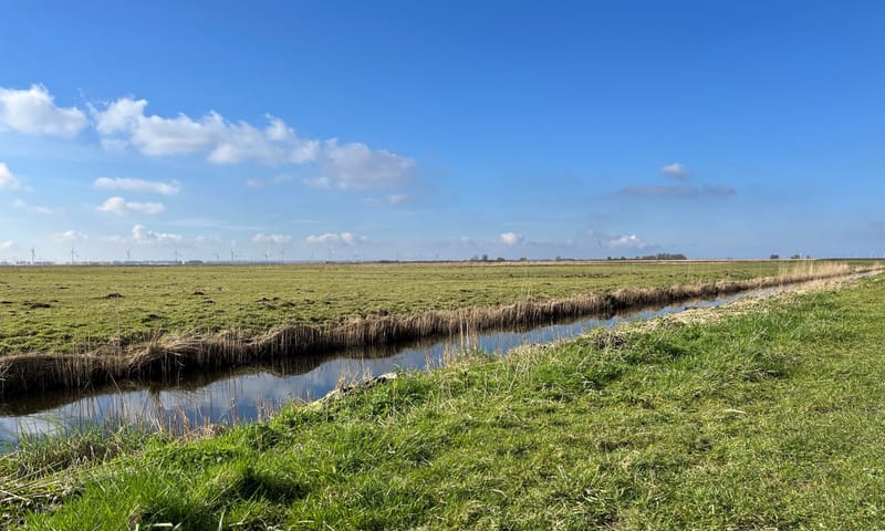 Graslanden Korendijk