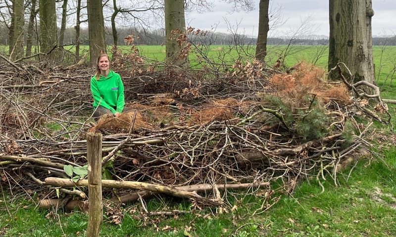 Boswachter Miranda Fieret in een nest voor mensen.
