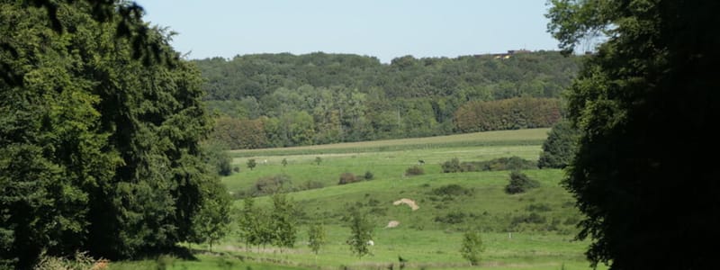 Doorkijk over de velden vanuit het Imstenraderbos