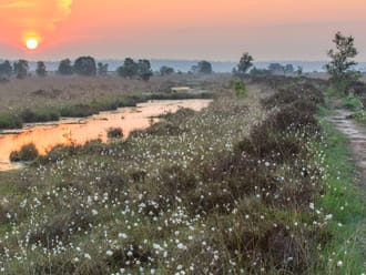 Wandelroute op de grens van Friesland en Drenthe in het Fochteloërveen Wandelroute op de grens van Friesland en Drenthe in het Fochteloërveen