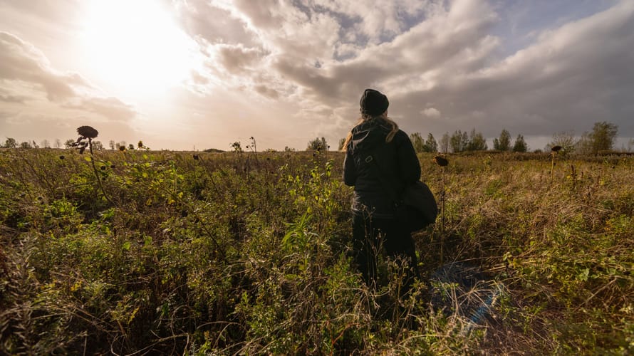 Oude Polder Tiengemeten