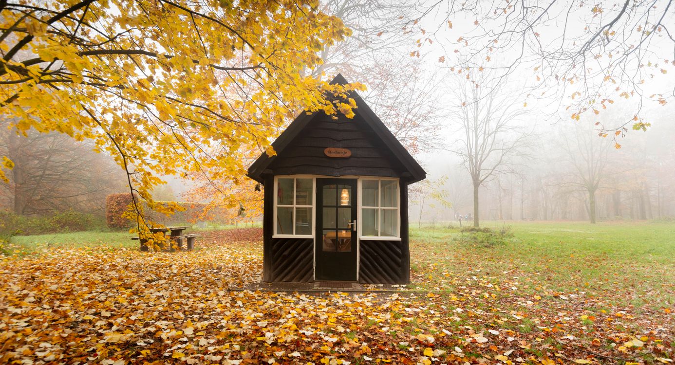 Boshuisje in Oisterwijck