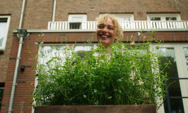 Zet je tuin in bloei in het najaar