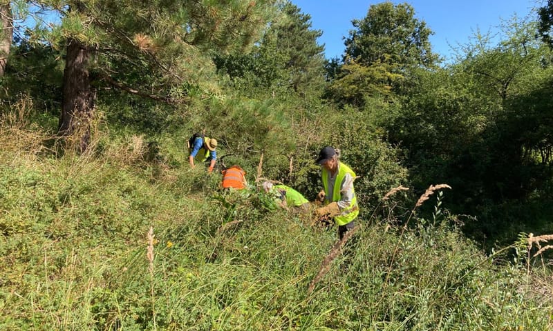 Vier vrijwilligers aan het werk