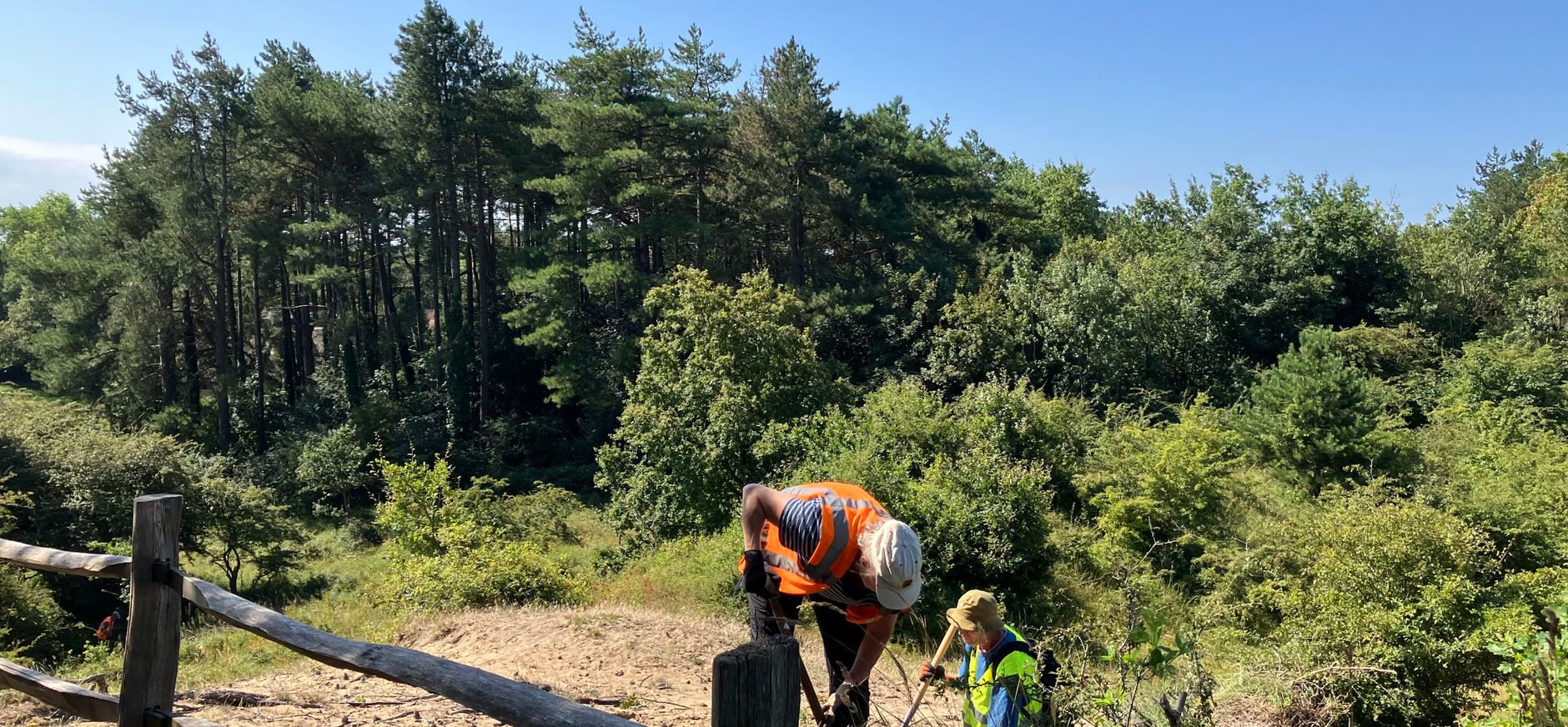 Vrijwilligers aan het werk op landgoed Koningshof