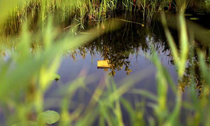 Wandelen Oppad en Kromme Rade