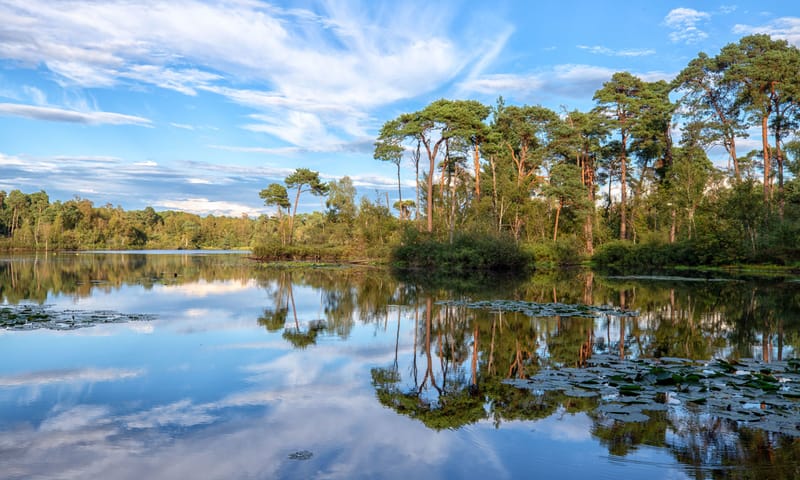 Wandelen Oisterwijk