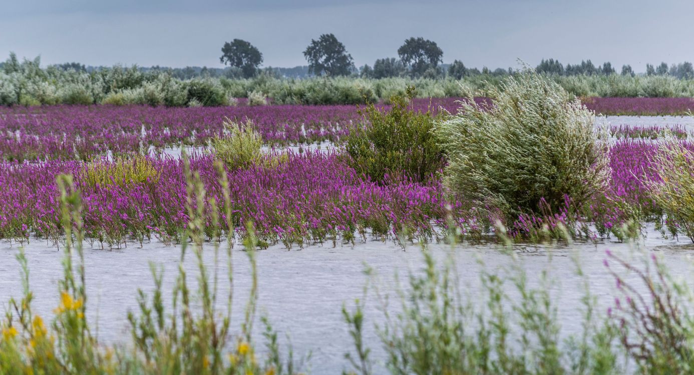 Wandelen Tiengemeten
