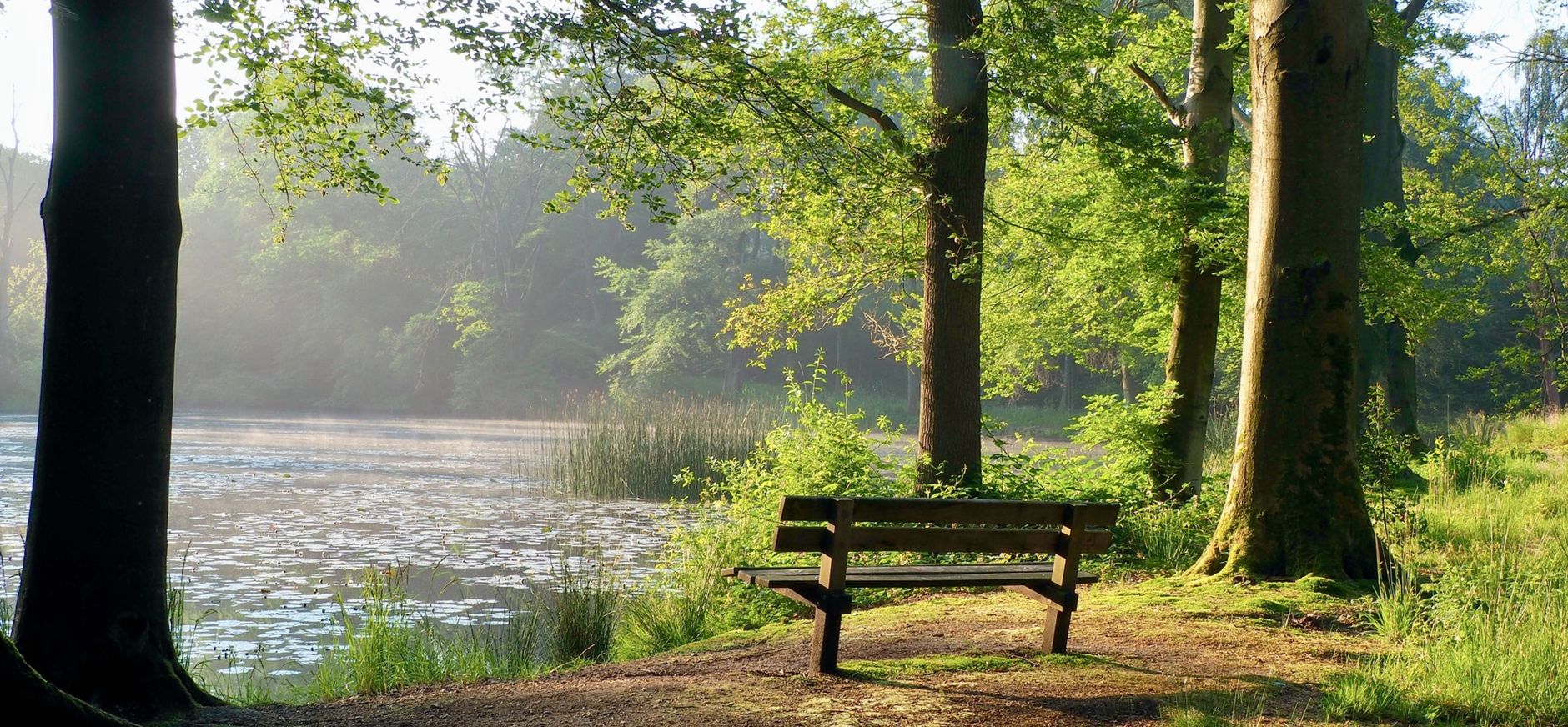 bankje bij vijver op Dorth