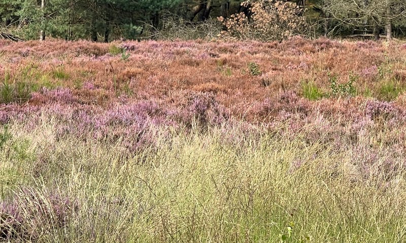 hei en klimaatverandering