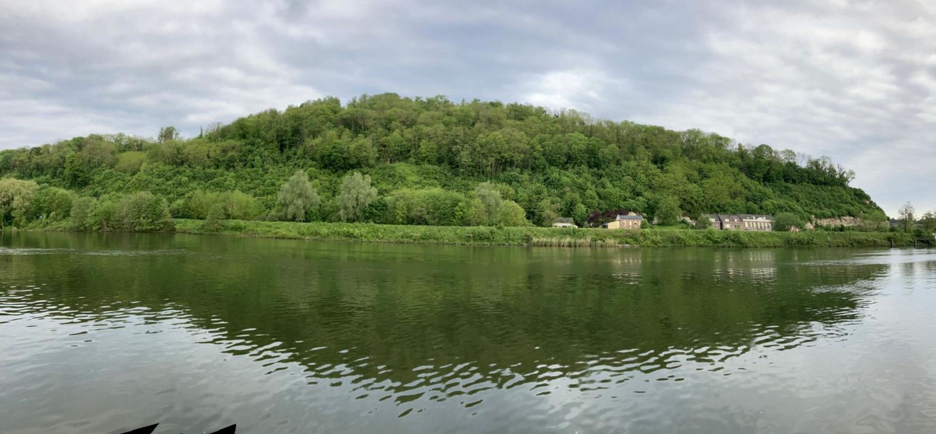 Maasbos gezien vanaf de Maas