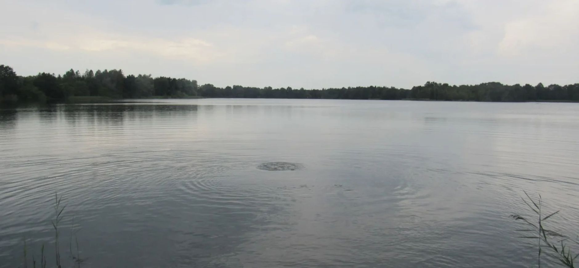 piccardhofplas - uitzicht vanaf steiger piccardhofplas - uitzicht vanaf steiger