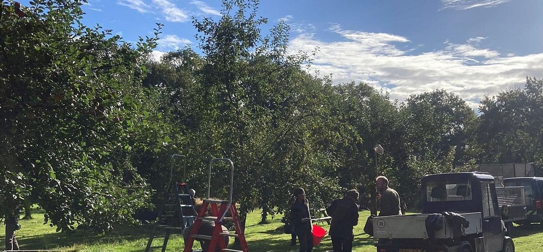 Appels plukken in de historische boomgaarden op landgoed Hackfort Appels plukken in de historische boomgaarden op landgoed Hackfort