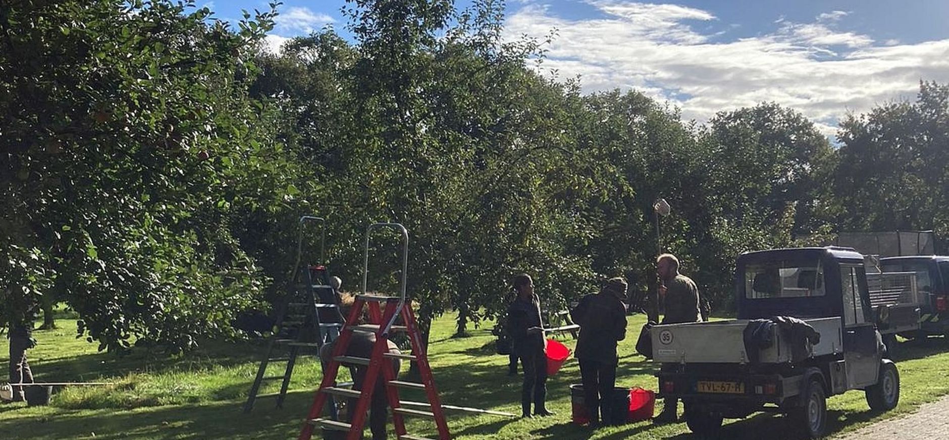 Appels plukken in de historische boomgaarden op landgoed Hackfort Appels plukken in de historische boomgaarden op landgoed Hackfort
