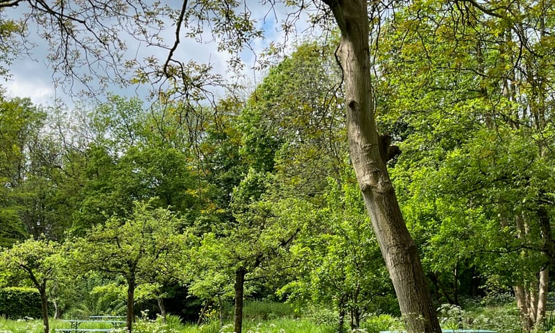De Tempel boomgaard
