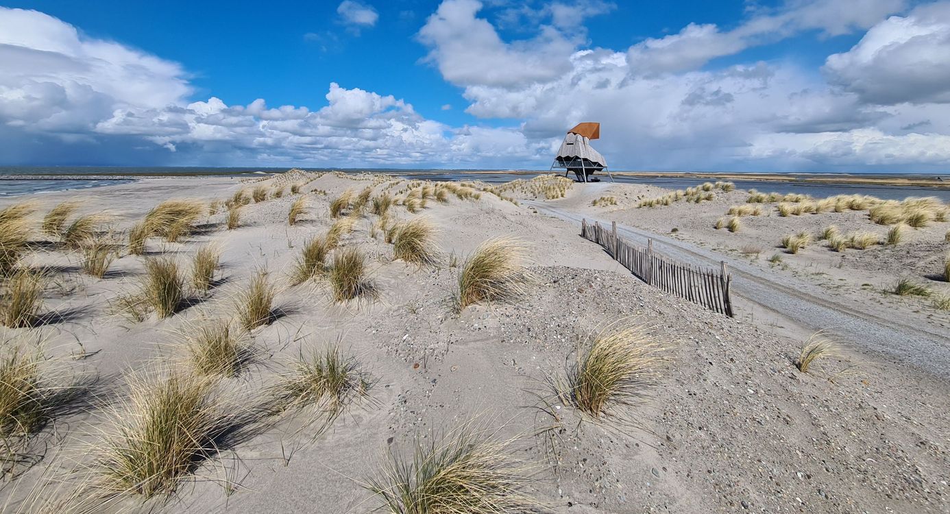 Uitzicht over de marker Wadden met een blauwe lucht op de achtergrond