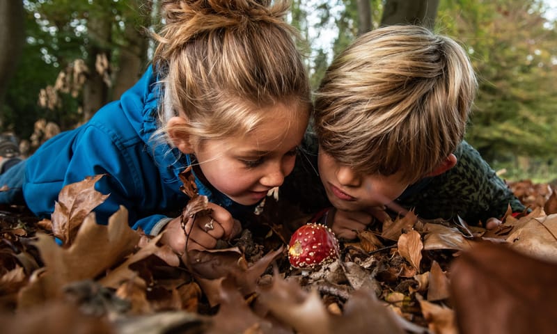 Kinderen bij vliegenzwam