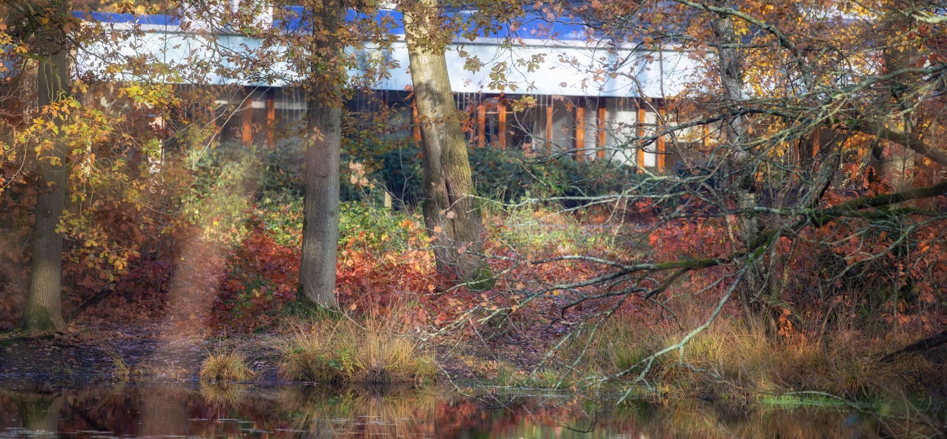 bezoekerscentrum Oisterwijk Bezoekerscentrum Oisterwijk