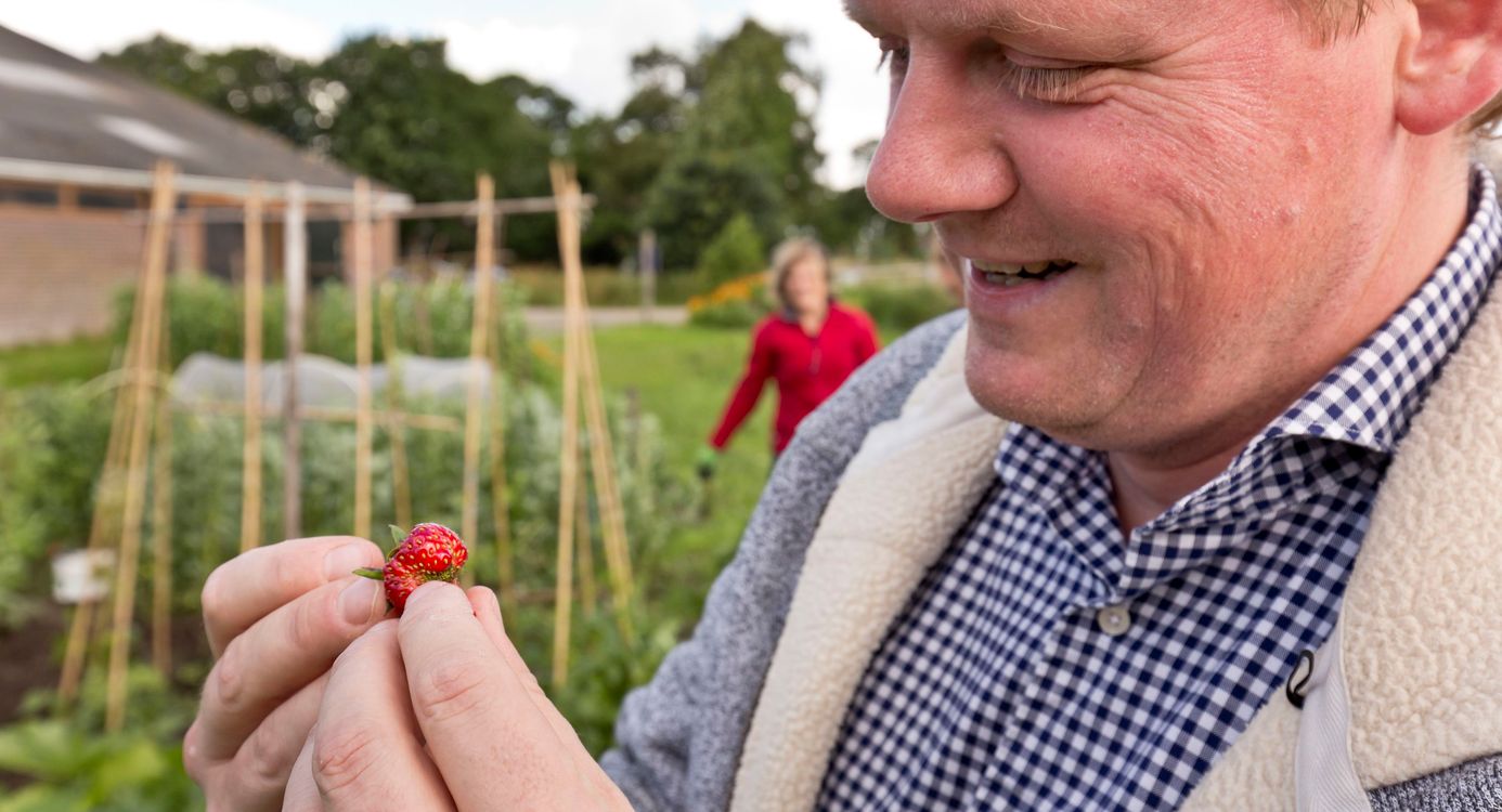 Aardbeien uit de Moestuin