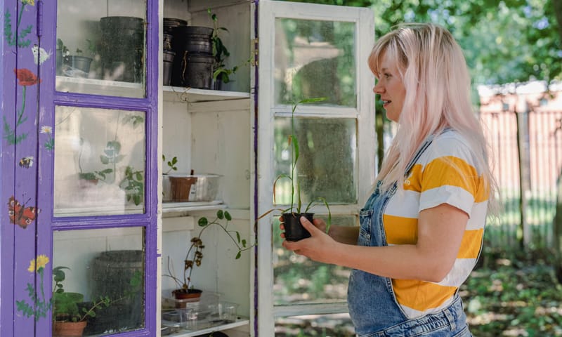 Plantenbieb Stekjes in een plantenbieb