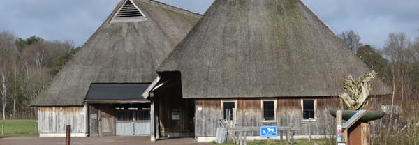 Schaapskooi