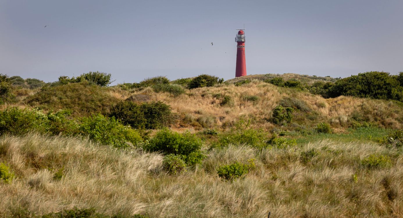 Vuurtoren in de duinen van Schiermonnikoog