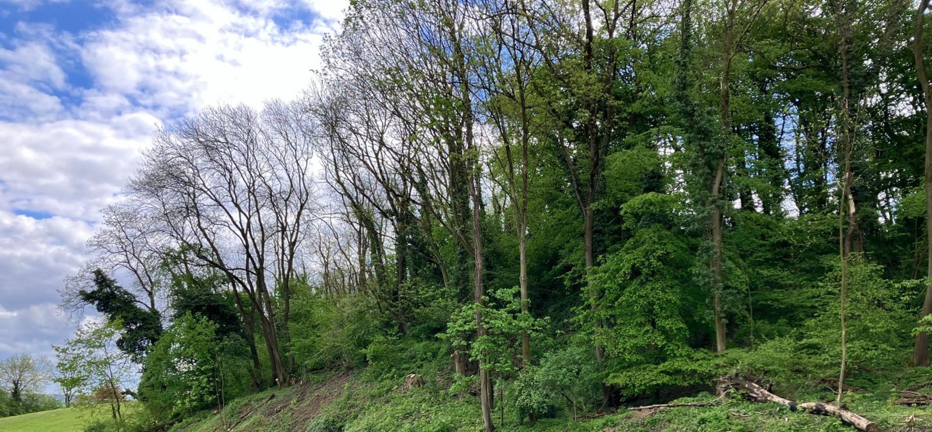werkzaamheden Slavantebos