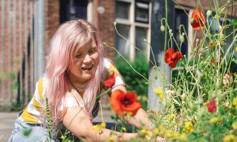 Tuinieren in je buurt Maak een bloementuin in je buurt
