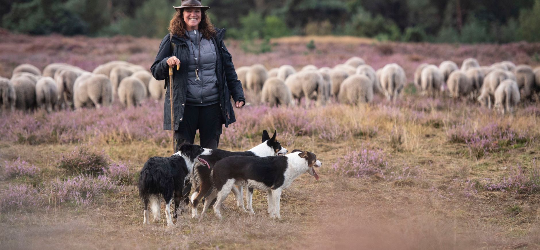 herder met haar schapen