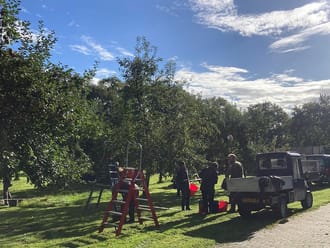 Appels plukken in de historische boomgaarden op landgoed Hackfort