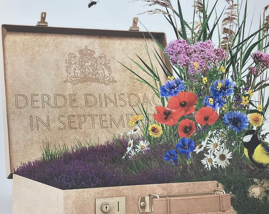 Koffer van Prinsjesdag vol planten