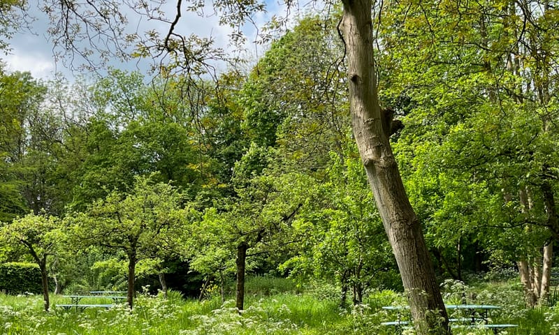 De Tempel boomgaard
