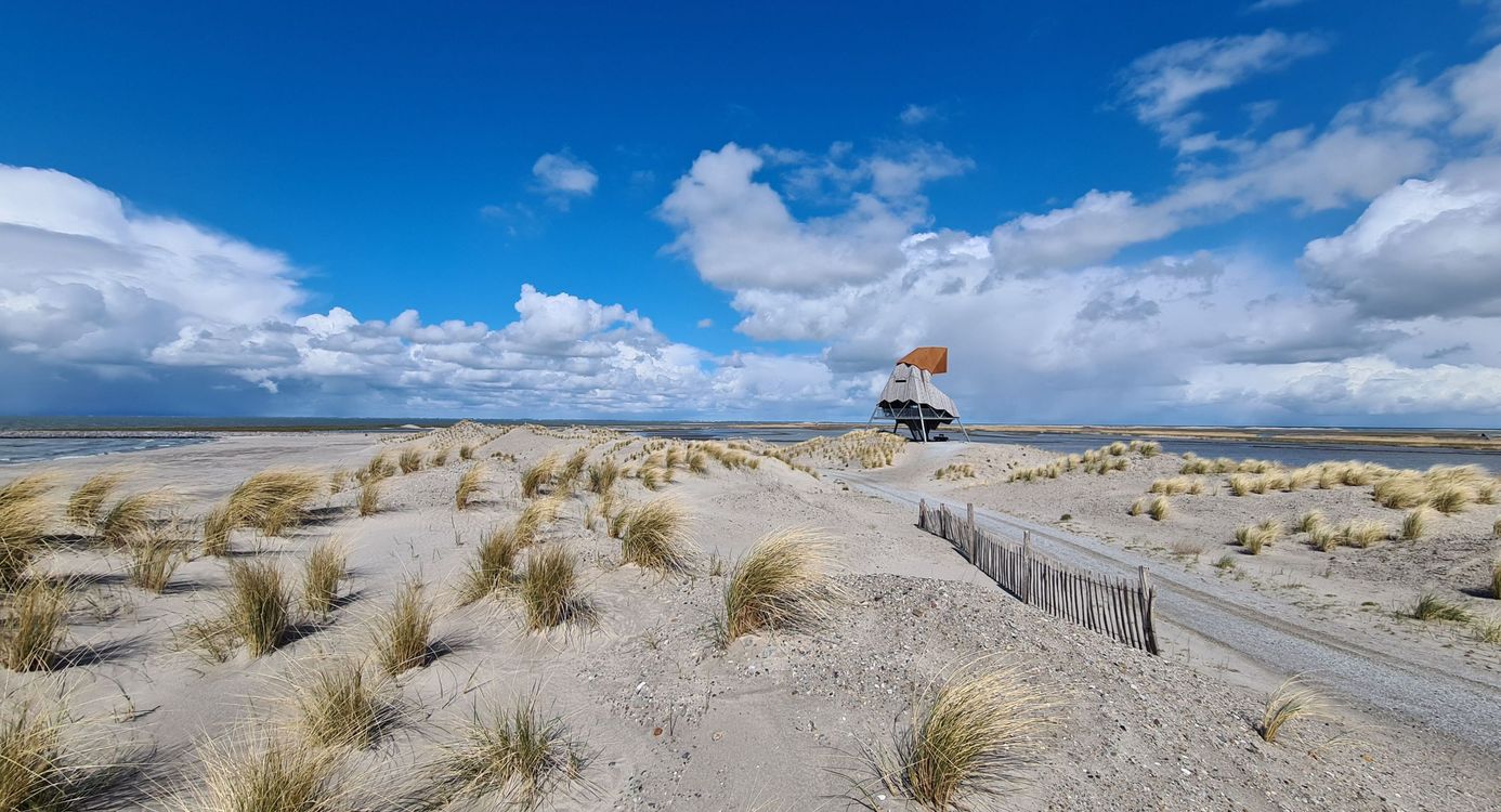 Uitzicht over de marker Wadden met een blauwe lucht op de achtergrond