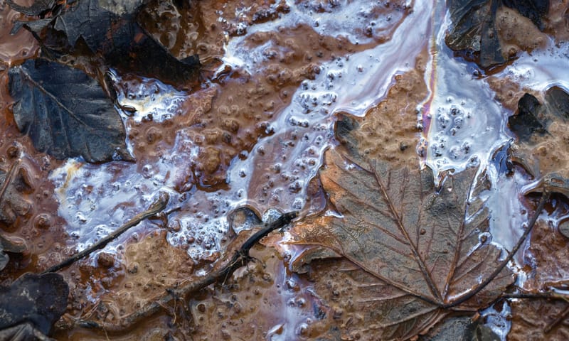 Kwelwater aan oppervlakte