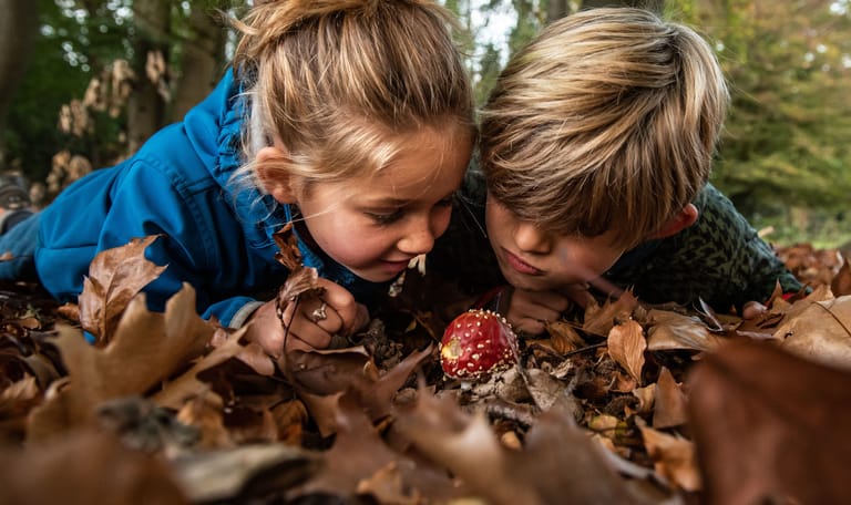 kinderen bij paddenstoel