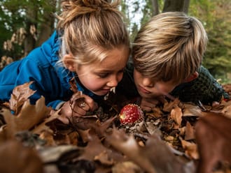 kinderen bij paddenstoel