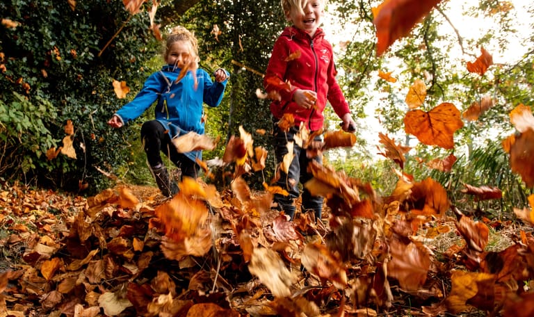 Wilde Buitendag herfst