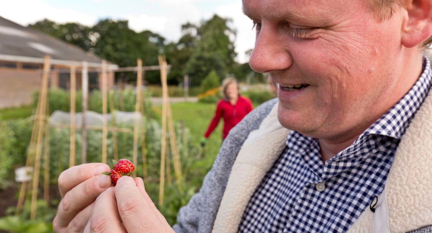 Aardbeien uit de Moestuin
