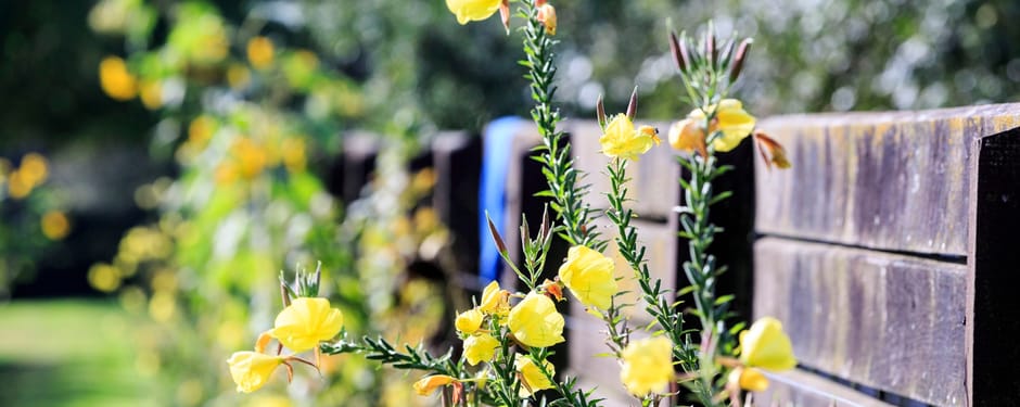 Najaar is het nieuwe tuinseizoen