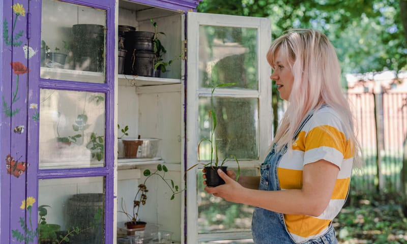 Stekjes in een plantenbieb