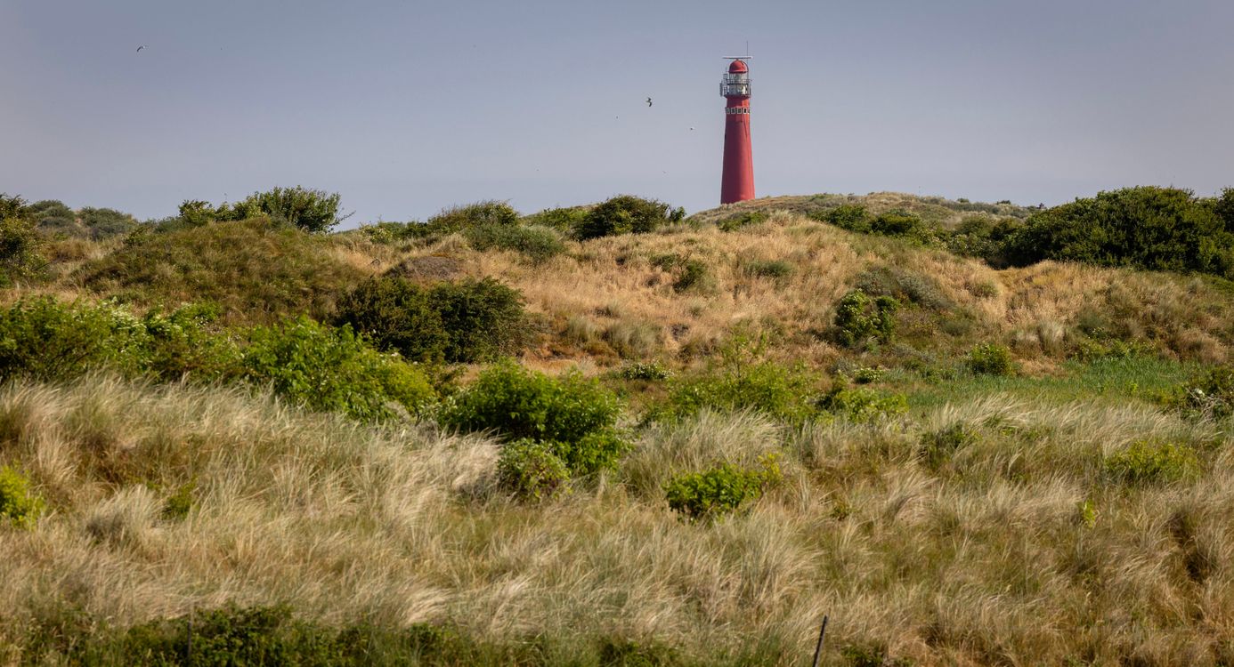 Vuurtoren in de duinen van Schiermonnikoog