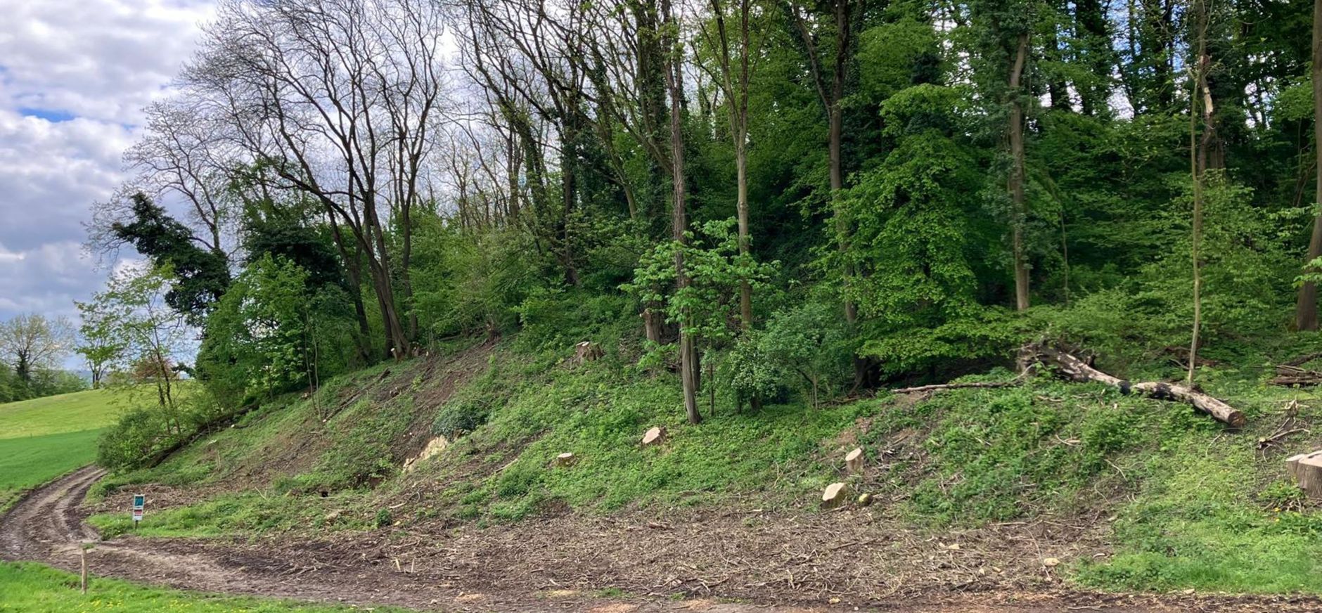 werkzaamheden Slavantebos