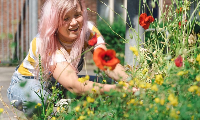 Maak een bloementuin in je buurt