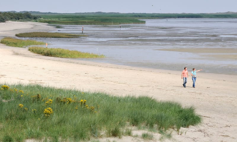 Twee mensen die over het strand wandelen