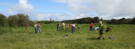 Berkentrekken in de duinen