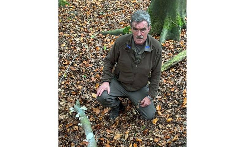 Boswachter Dick Buitenhuis. Op de voorgrond een beukentak met porseleinzwammen.