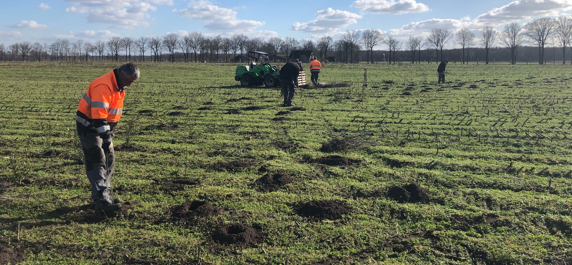 Aanplant van boompjes en struiken Aanplant van boompjes en struiken