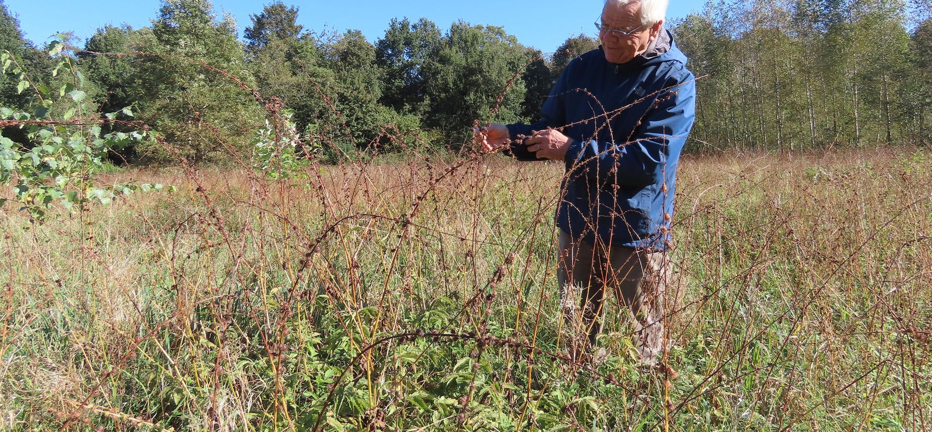 Jaques Rovers van Floron Jacques Rovers van Floron in het veld met een wilde plant